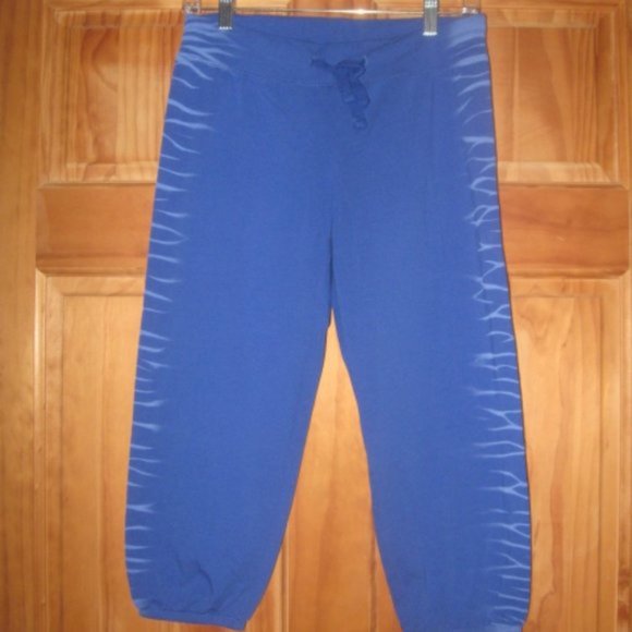 Fabletics Blue Hooded Zip Up Vest w/Mesh Back and Matching Crop Jogger Sweats - Picture 5 of 6